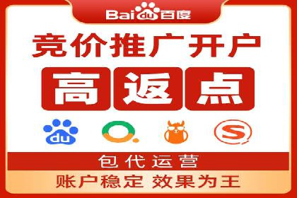 SEM广告投放的创意与执行：成功案例剖析